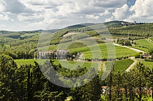 Vineyards of Chianti in Tuscany