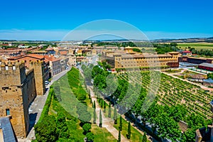 Vineyards at the convent of San Francisco at Olite, Spain