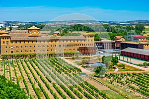 Vineyards at the convent of San Francisco at Olite, Spain