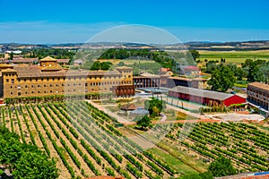 Vineyards at the convent of San Francisco at Olite, Spain