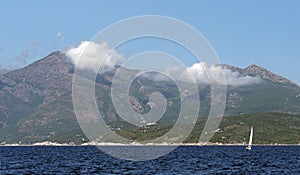 Vineyards in Corsica island