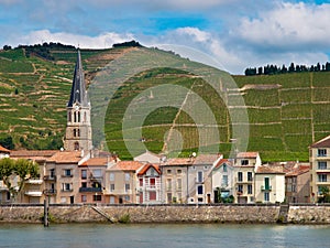 Vineyards in the Cote du Rhone France