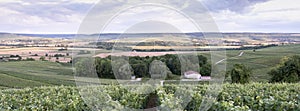 Vineyards in marne valley south of reims in french region champagne ardenne photo