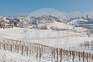 Vineyards covered with snow in Italy.