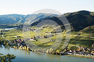 Vineyards in Danbue Valley in Wachau, Austria