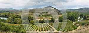 Vineyards and Davalillo castle, La Rioja Spain