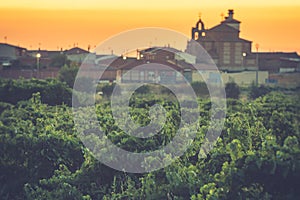 The vineyards in the district of Nieva Segovia, Spain. White wines of the highest quality grapes, belonging to Rueda Designation photo
