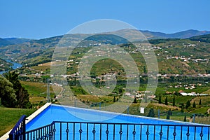 Vineyards in the Douro river valley between Peso de Regua and Pinhao, Portugal