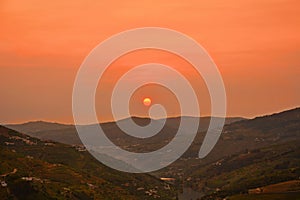 Vineyards in the Douro river valley between Peso de Regua and Pinhao, Portugal