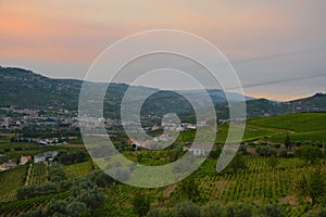 Vineyards in the Douro river valley between Peso de Regua and Pinhao, Portugal