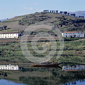 Vineyards of the Douro Valley