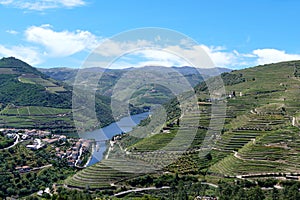 Vineyards in Douro Valley. Porto Wine.