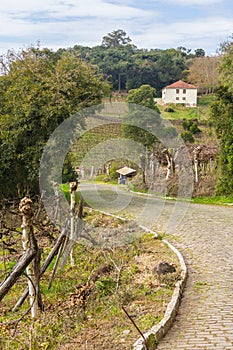 Vineyards and farms in winter, Vale dos Vinhedos valley