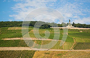 Vineyards and Germania monument in Rudesheim photo