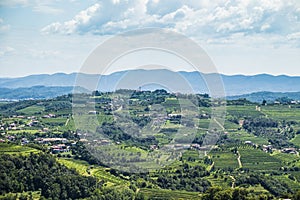 Vineyards at Goriska Brda