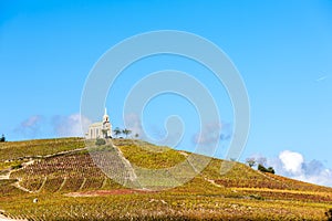 vineyards grand cru in Beaujolais witha church, Fleurie, Rhone-A photo