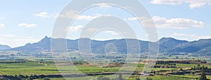 Vineyards in Haro, La Rioja, Spain