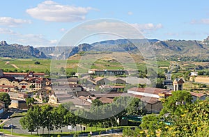 Vineyards in Haro, La Rioja, Spain