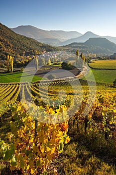 Vineyards  in the Hautes-Alpes with the village of Valserres in Autumn. Alps, France