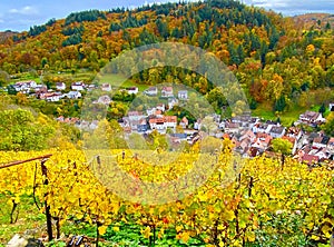 The vineyards of Heppenheim in the Bergstrasse region in Germany