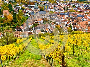 The vineyards of Heppenheim in the Bergstrasse region in Germany