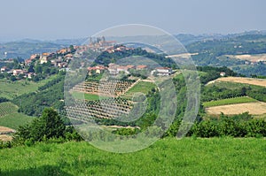 Vineyards and hills of the Langhe region. Piemonte, Italy