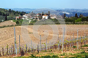 Vineyards in the hills of Tuscany