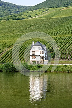 Vineyards and home winegrower on Moselle river