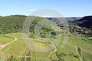 Vineyards of Jura photo