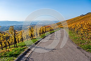 Vineyards between Kappelberg and Rotenberg in Stuttgart - Beautiful landscape scenery in autumn - Aerial view over Neckar Valley,