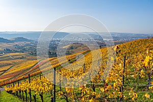 Vineyards between Kappelberg and Rotenberg in Stuttgart - Beautiful landscape scenery in autumn - Aerial view over Neckar Valley,