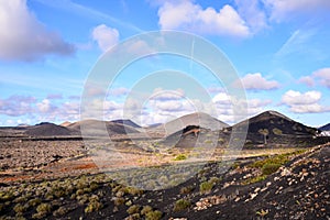 Vineyards in La Geria Lanzarote