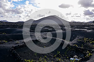 Vineyards in La Geria Lanzarote