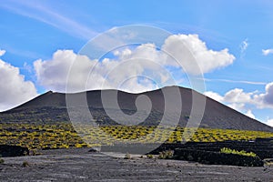 Vineyards in La Geria Lanzarote