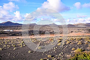 Vineyards in La Geria Lanzarote