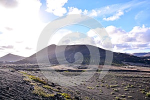 Vineyards in La Geria Lanzarote