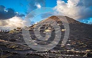 Vineyards in La Geria, Lanzarote, Canary Islands, Spain