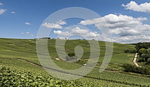 Vineyards La Neuville-Aux-Larris