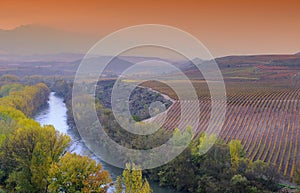 Vineyards in La Rioja, Spain. photo