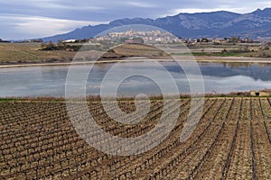 Vineyards in Laguardia. Vineyards and lagoon with Laguardia in the background, Alava, Euskadi