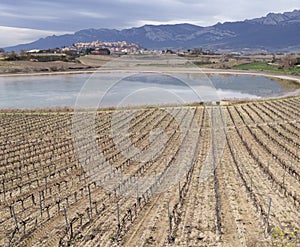 Vineyards in Laguardia. Vineyards and lagoon with Laguardia in the background, Alava, Euskadi