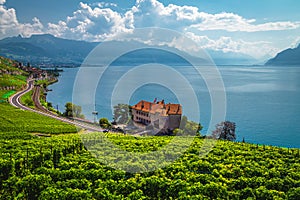 Vineyards and lakeside house on lake Geneva, Rivaz, Switzerland