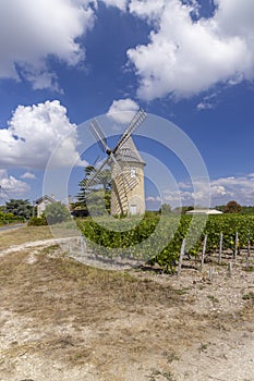 Vineyards with Lamarque windmill, Haut-Medoc, Bordeaux, Aquitaine, France