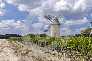 Vineyards with Lamarque windmill, Haut-Medoc, Bordeaux, Aquitaine, France