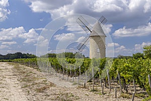 Vineyards with Lamarque windmill, Haut-Medoc, Bordeaux, Aquitaine, France