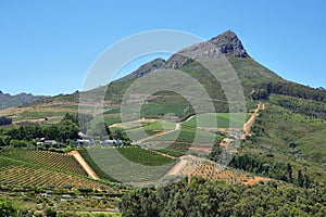 Vineyards landscape from Delaire Graff state