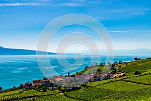 Vineyards an landscape on Geneva Lake.