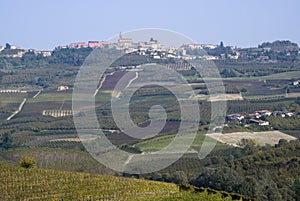 The vineyards landscape of the Langhe hills