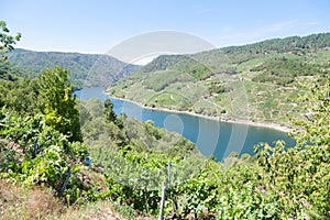 Vineyards landscape from Ribeira Sacra wine area, Galicia, Spain