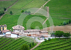 Vineyards of Langhe, Piedmont, UNESCO site